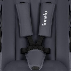 Poussette duo amber + nacelle grey graphite Lionelo