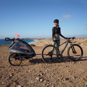 Remorque à vélo cama grey graphite Lionelo