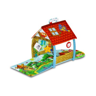 Tapis éducatif agnès plus