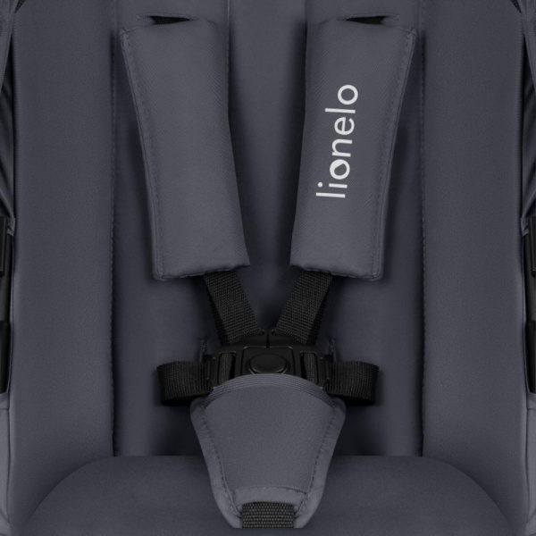 Poussette duo amber + nacelle grey graphite Lionelo