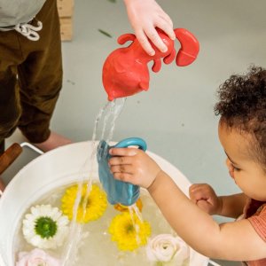 Jouet de bain Lilliputiens