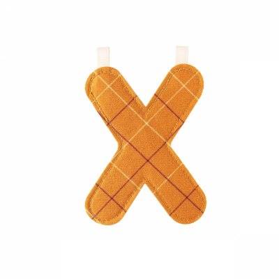 Lettre de l'alphabet décorative x