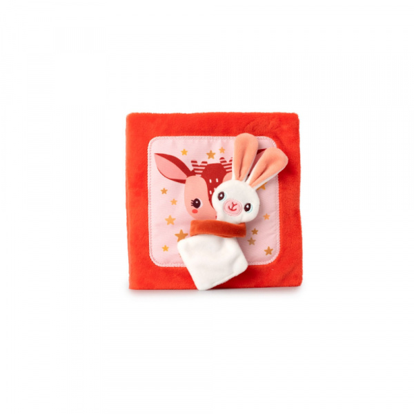 Livre pour enfant stella et son doudou Lilliputiens