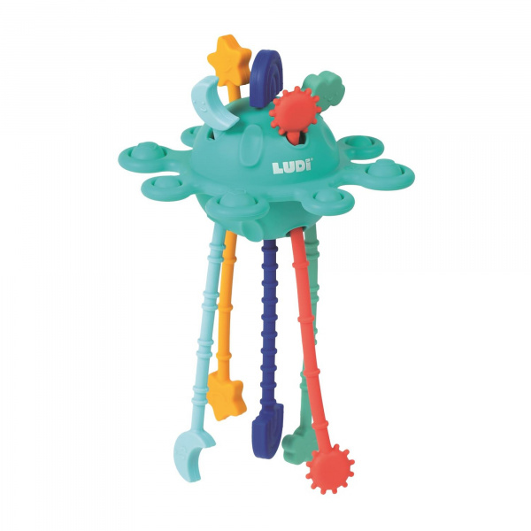 Jouet d'éveil d'activités zippy toy Ludi jouets
