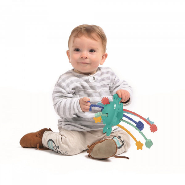 Jouet d'éveil d'activités zippy toy Ludi jouets