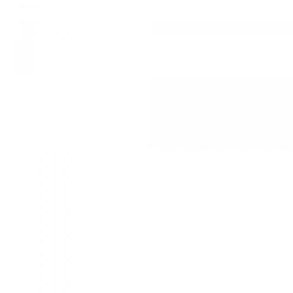 Lot de 2 brosses de remplacement - sönik 36m+ Bbluv