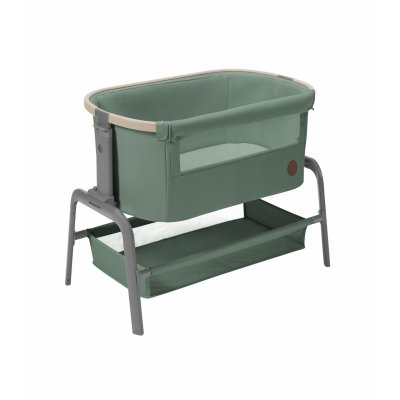 Lit cododo iora beyond green