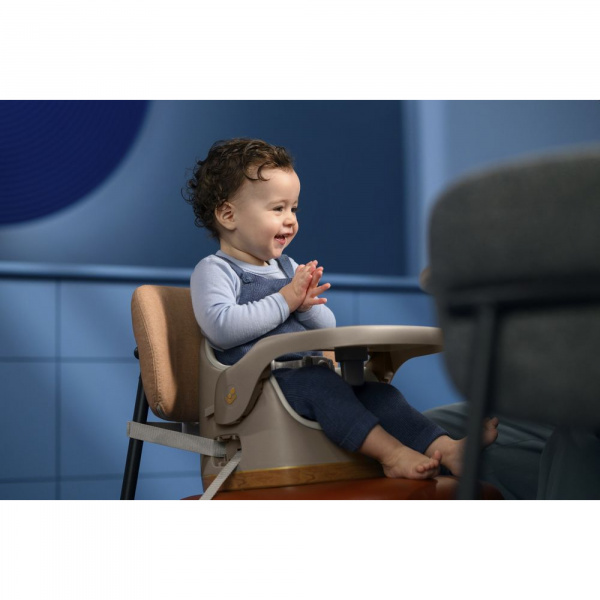 Siège de table jay graphite Maxi-cosi