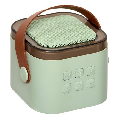 Karaoké enfant kara vert avec 2 micros