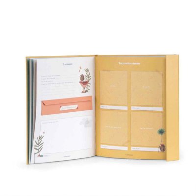 Livre de naissance trois petits lapins