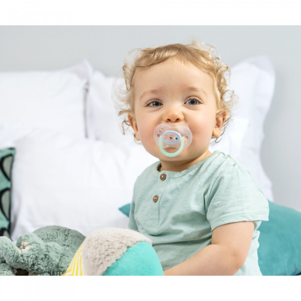 Lot de 3 sucettes jour / nuit silicone 6-18m mixte Tigex