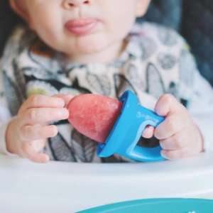 Lot de 4 moules à glaces garden fresh Nuby