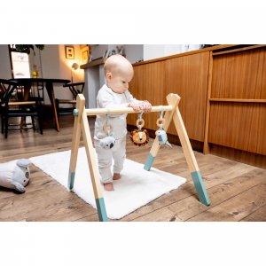 Arche d'éveil en bois animal adventure Nuby