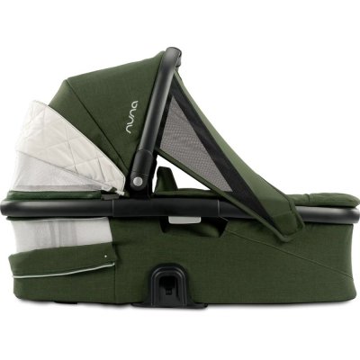 Nacelle demi grow evergreen