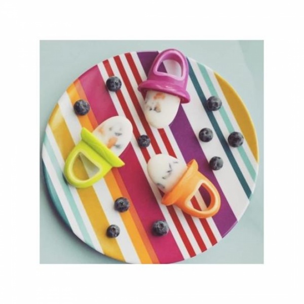 Lot de 4 moules à glaces garden fresh Nuby