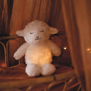 Veilleuse bruits blanc wooly Trois kilos sept