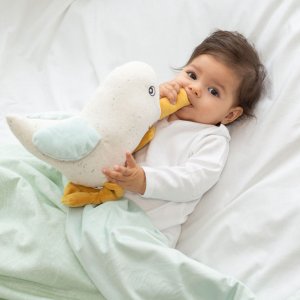 Peluche musicale paulette - au large de nova Trois kilos sept