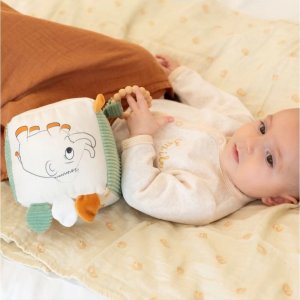 Cube d'éveil diplododo Trois kilos sept