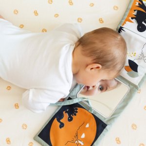 Livre d'éveil diplododo Trois kilos sept