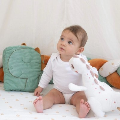 Sac à dos diplododo