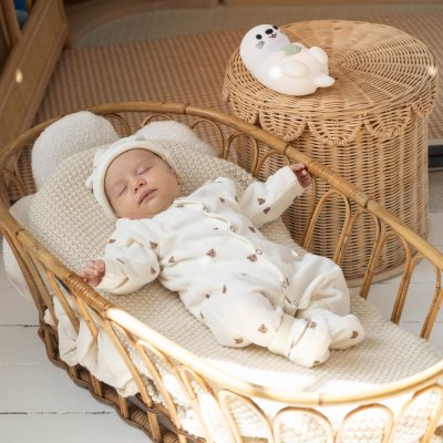 Veilleuse bébé silicone loutre 17 cm