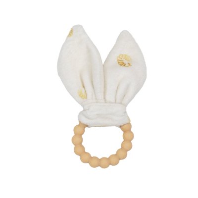 Anneau de dentition diplododo