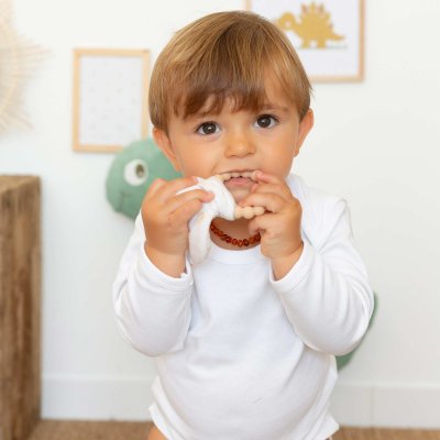 Anneau de dentition diplododo