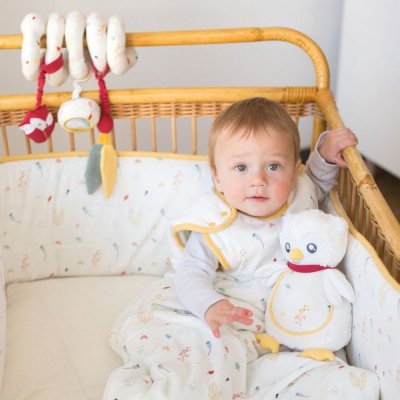 Spirale d'activités - cache cache en forêt