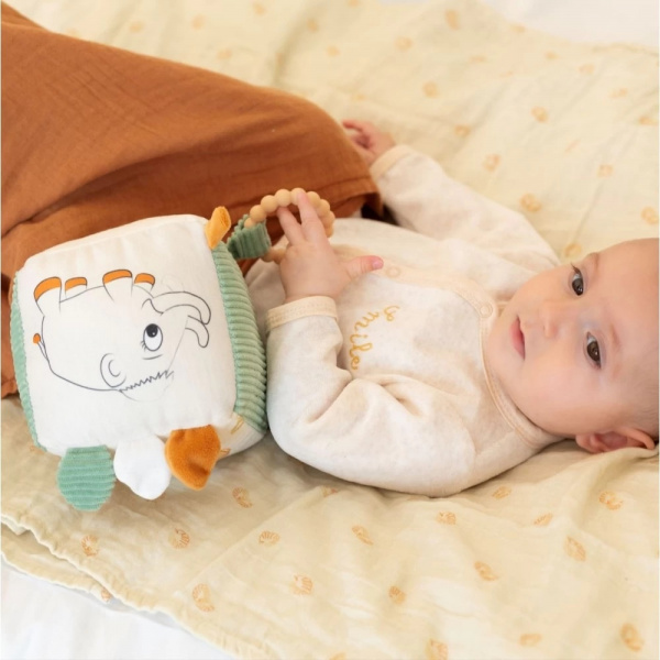 Cube d'éveil diplododo Trois kilos sept