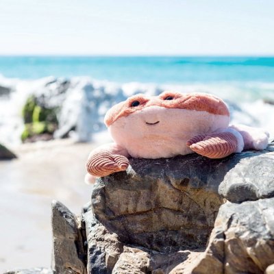Peluche ultra douce crabe 27 cm - corail