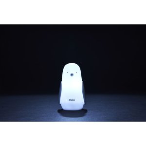 Veilleuse pingouin à induction Olala boutique