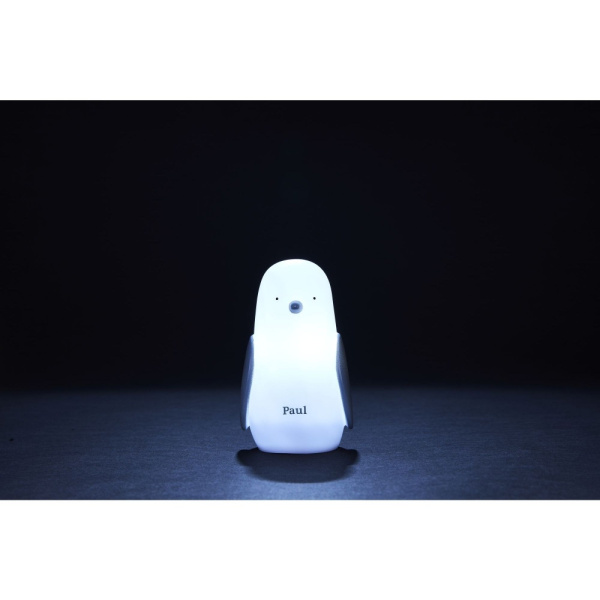 Veilleuse pingouin à induction Olala boutique