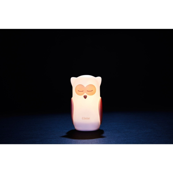 Veilleuse chouette à induction Olala boutique