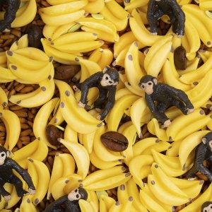 Lot de 3 bouteilles sensorielles tropical Petit boum