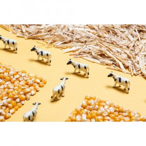 Bouteille sensorielle spy ferme Petit boum