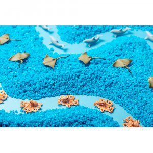 Bouteille sensorielle spy mer Petit boum