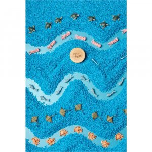 Lot de 3 bouteilles sensorielles serenity Petit boum