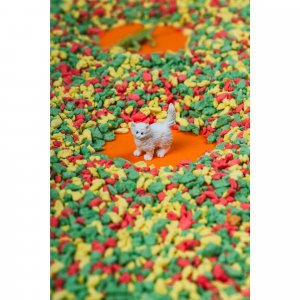 Bouteille sensorielle spy animaux de compagnie Petit boum