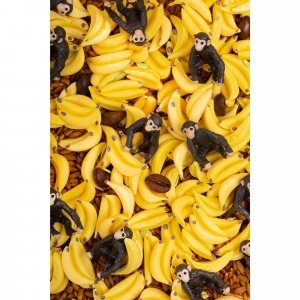 Bouteille sensorielle sound singe Petit boum