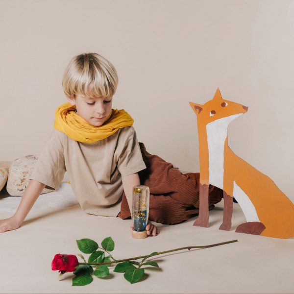 Bouteille sensorielle move petit prince Petit boum