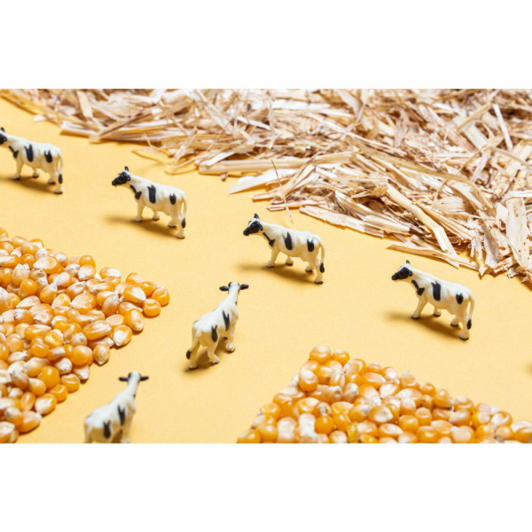 Bouteille sensorielle spy ferme Petit boum