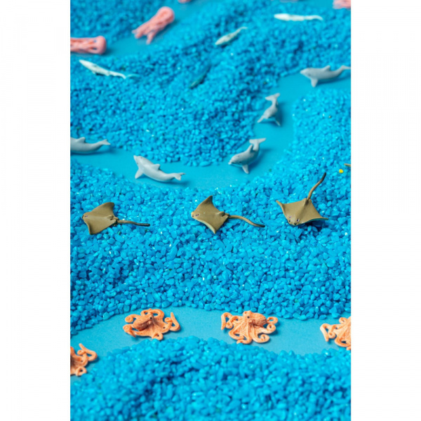 Bouteille sensorielle spy mer Petit boum