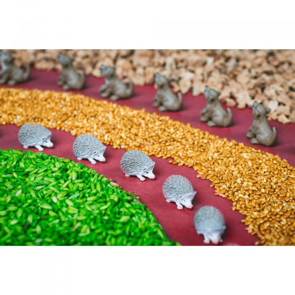 Bouteille sensorielle spy forêt Petit boum