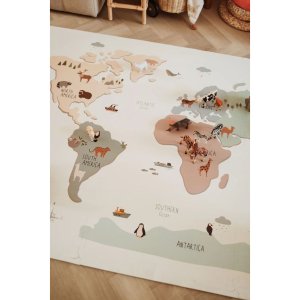 World eevaa Play & go