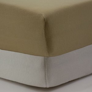 Lot de 2 draps housse jersey bio blé - blanc Babycalin