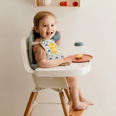 Lot de 5 bavoirs naissance love family