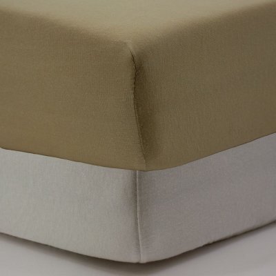 Lot de 2 draps housse jersey bio blé - blanc