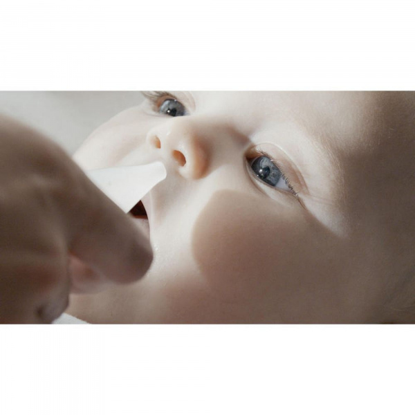 Mouche bébé r'evoluion air Little band