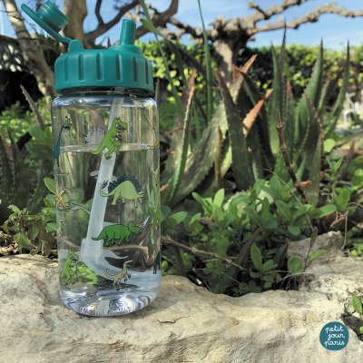 Gourde en tritan 0.35 l les dinosaures