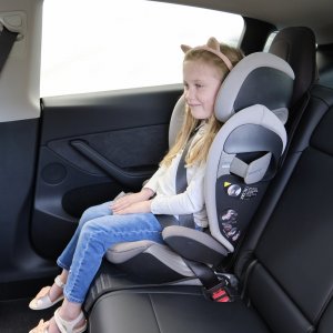 Protection siège voiture tesla noir Prince lionheart